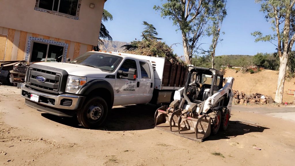 tree care in Pacoima