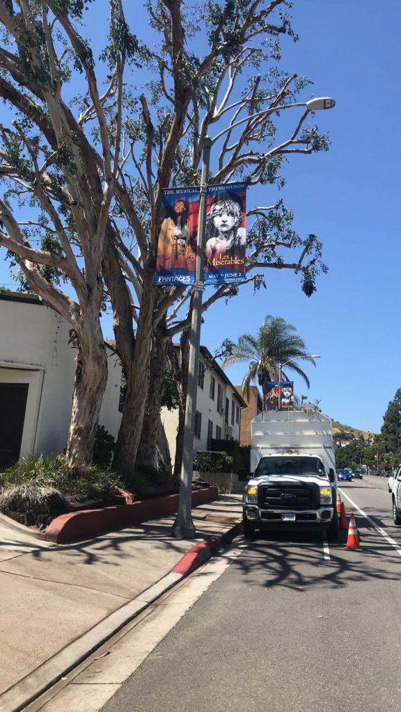 tree service sherman oaks