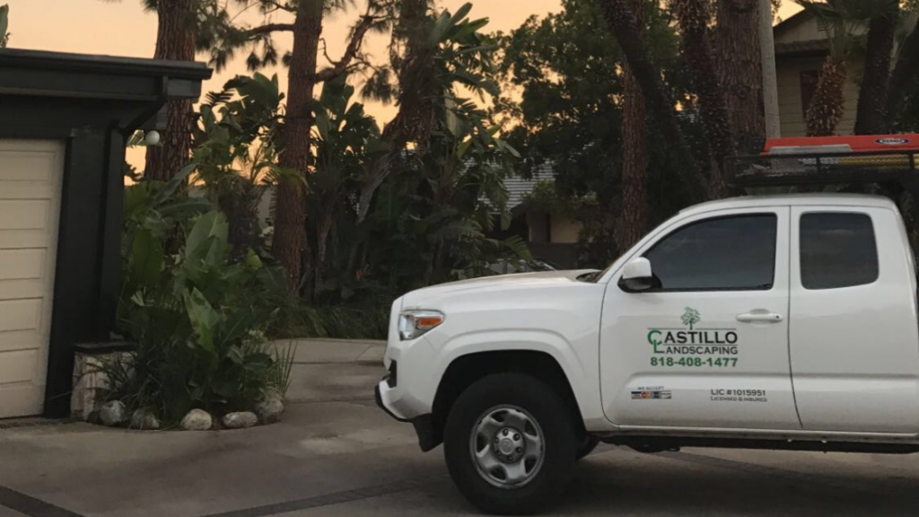 tree removal in Pacoima
