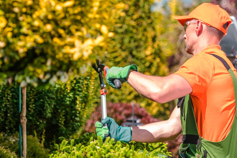 landscaping services