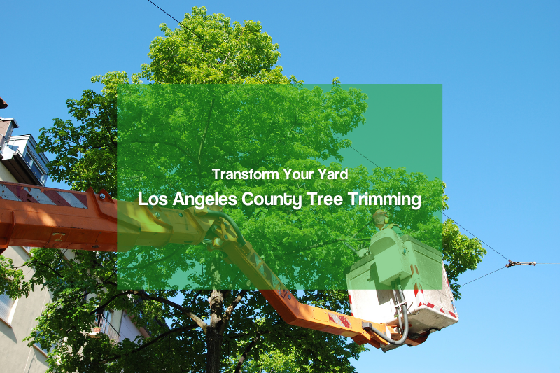 Los Angeles country tree trimming