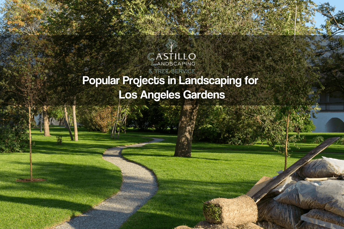 landscaping Los Angeles