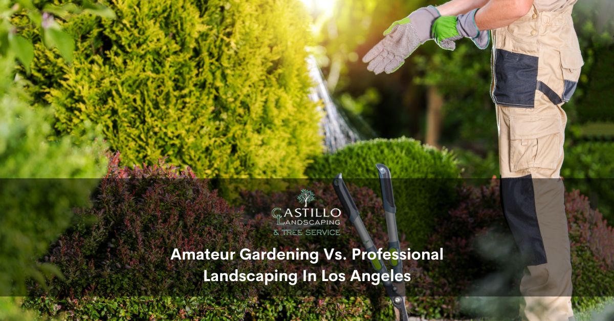 professional landscaping los Angeles