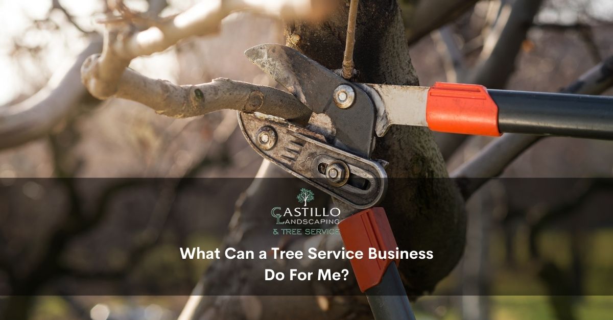 Tree Service Business