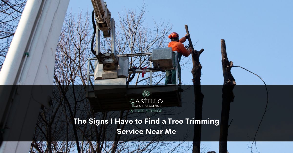 Tree Trimming Service Near Me