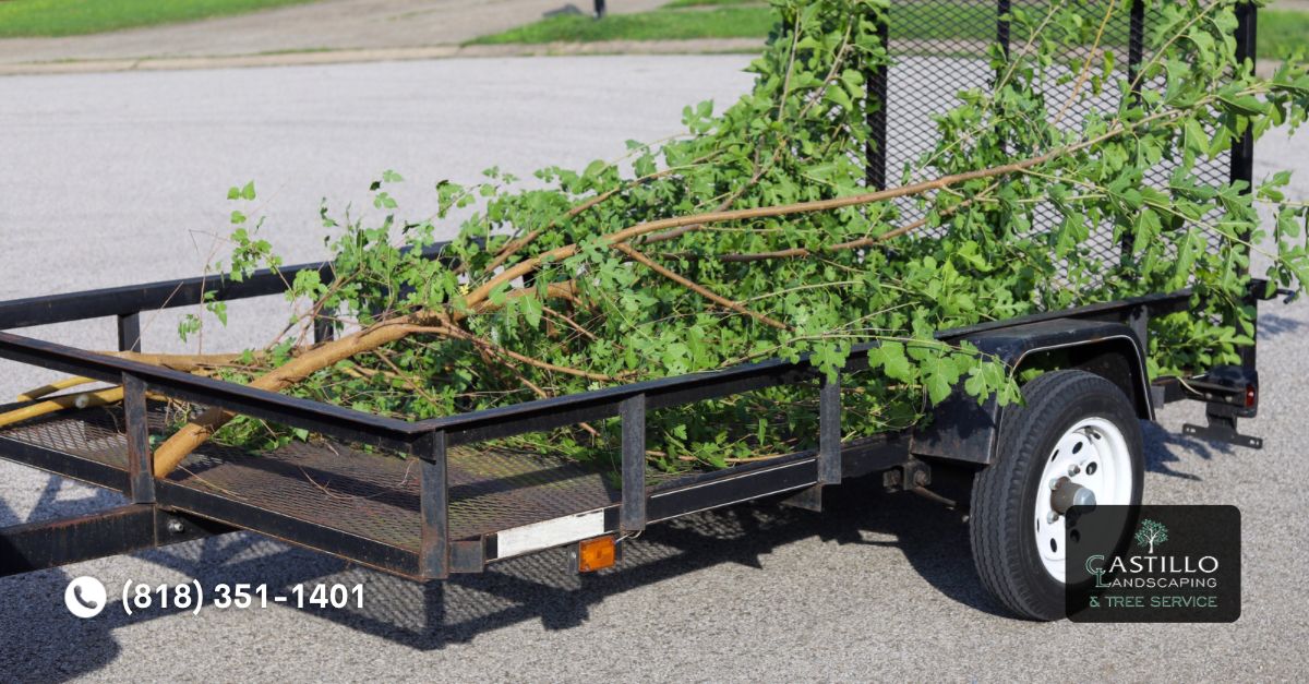 Tree Trimming Service Near Me