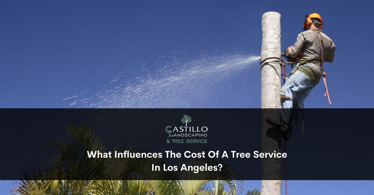 Tree Service in Los Angeles