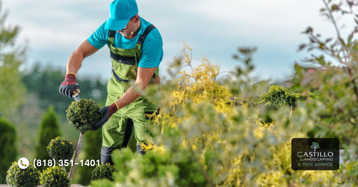 Los Angeles County Tree Trimming