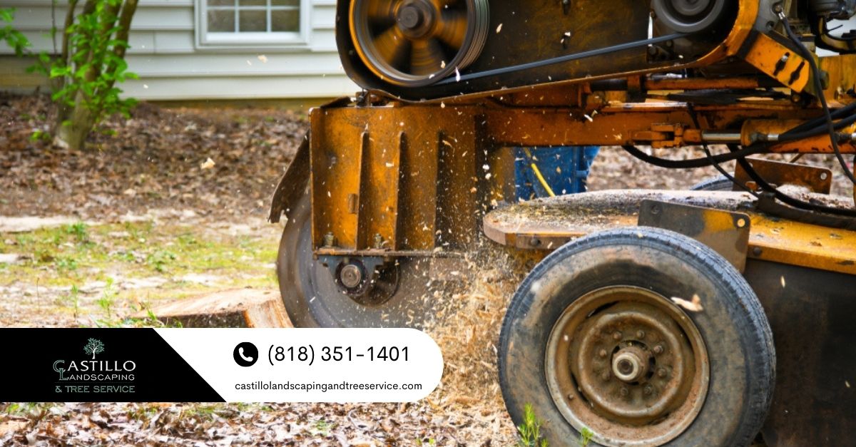 Los Angeles County Tree Trimming