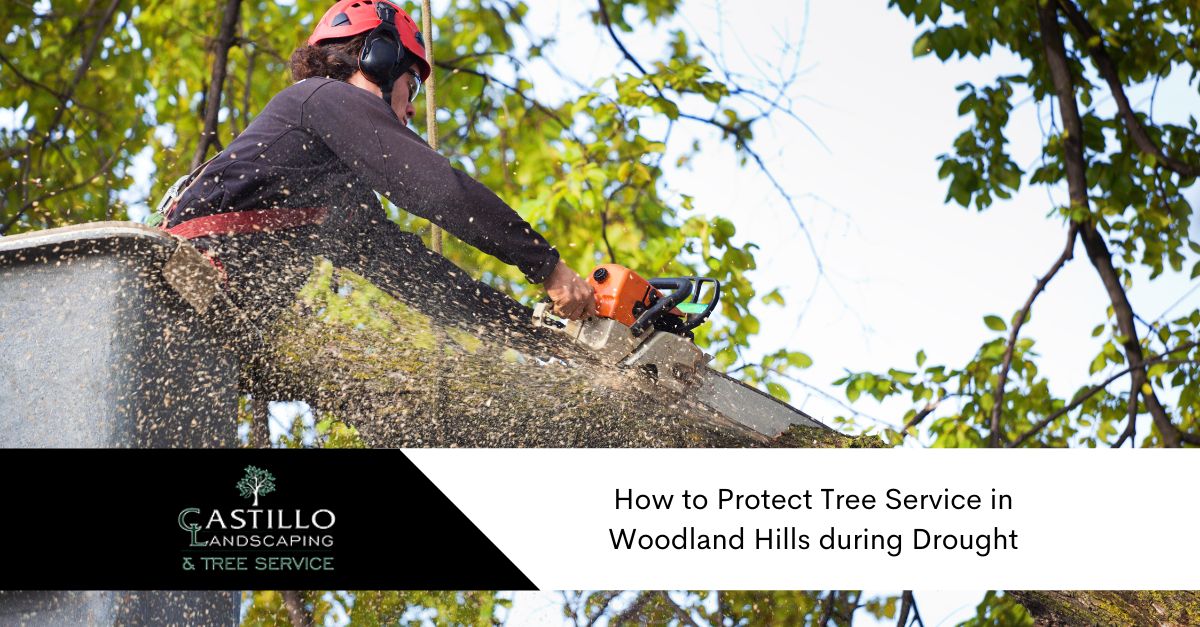 tree service in woodlands hills