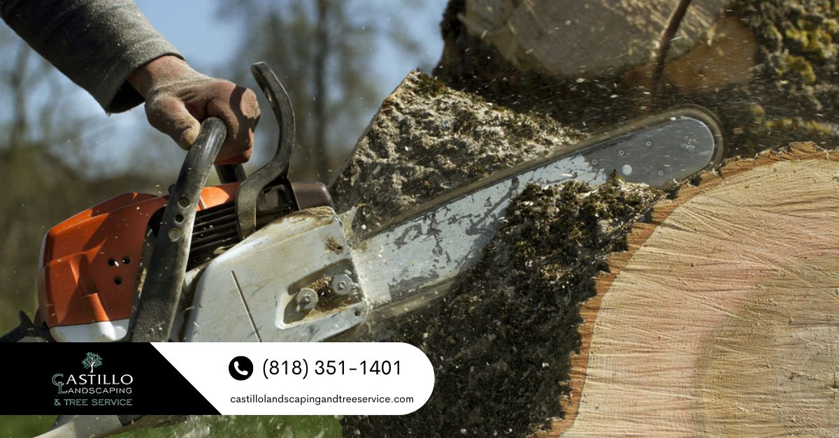 Los Angeles county tree trimming