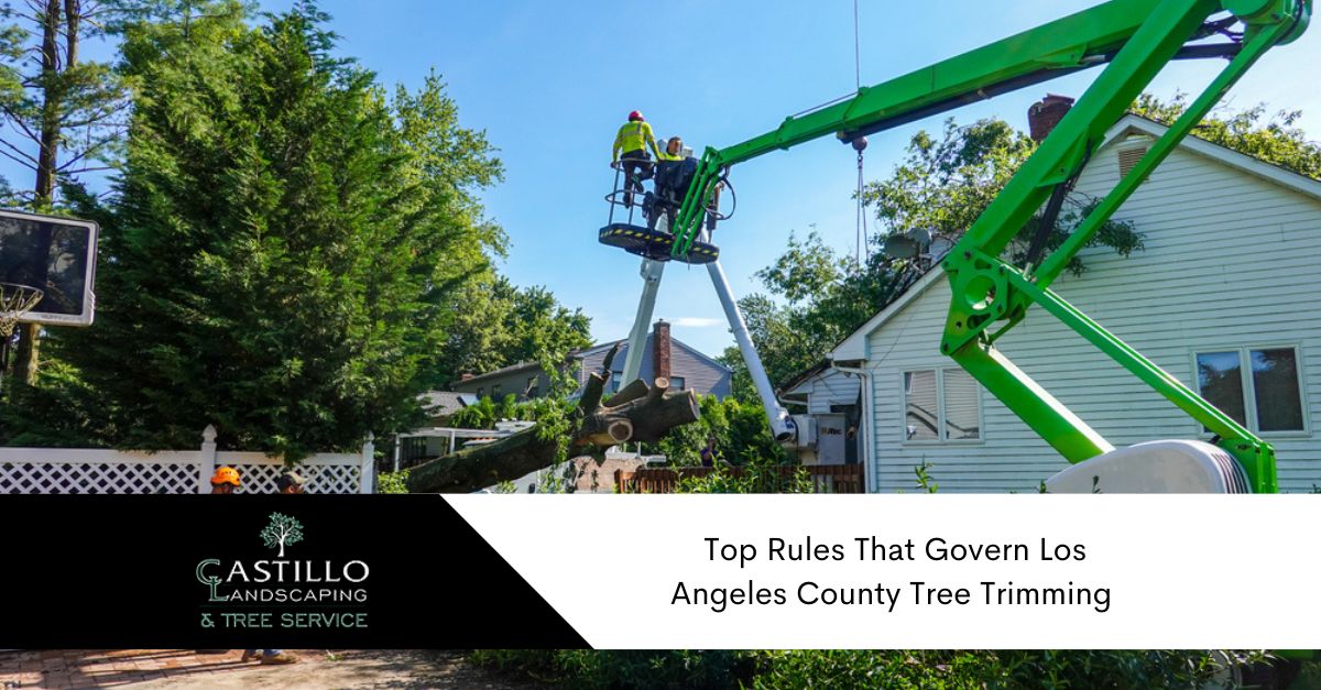 Los Angeles county tree trimming
