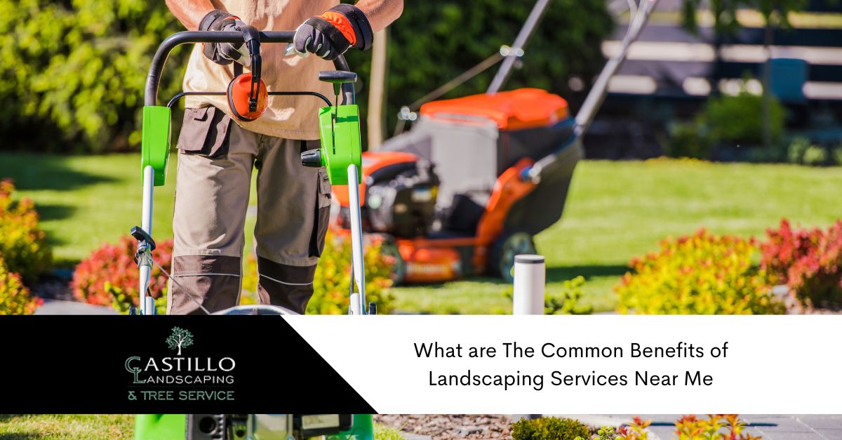 Landscaping Services near Me