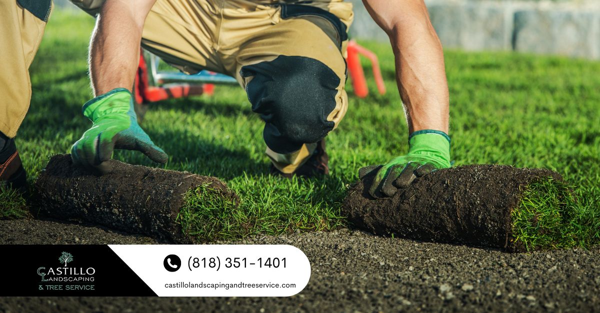 Landscaping Services Near Me