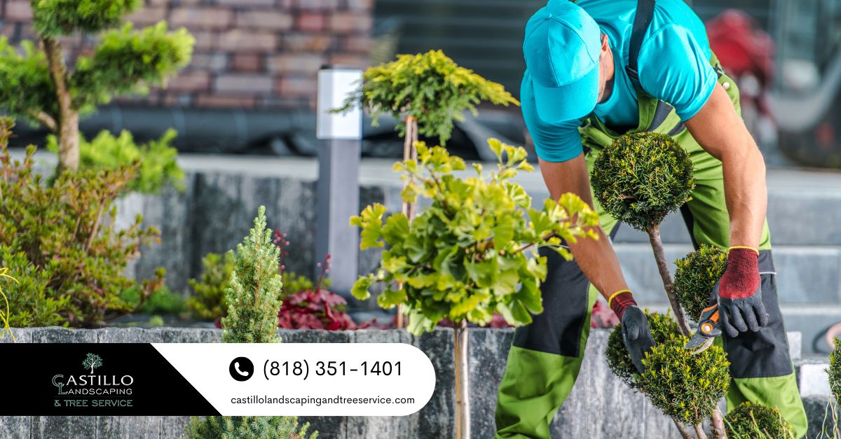 Landscaping in Pacoima