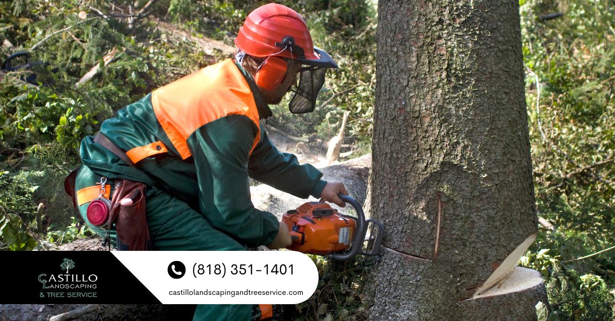 tree removal service