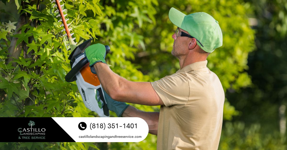 Los Angeles County Tree Trimming