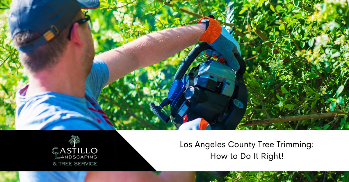 Los Angeles county tree trimming