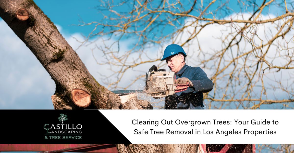 tree removal in los angeles