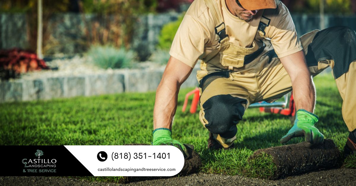 best landscaping services los angeles