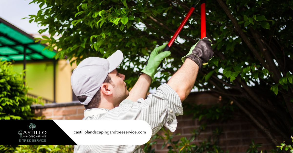 tree trimming los angeles